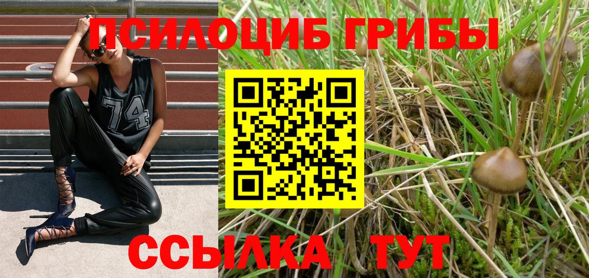 Псилоцибиновые грибы Cubensis  Псилоцибиновые грибы прущие грибы  Орехово-Зуево  Вход с VPN 